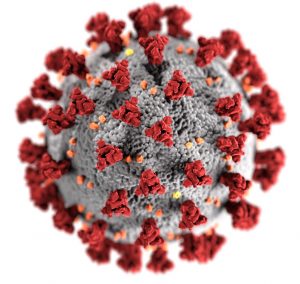 Covid-19 virus